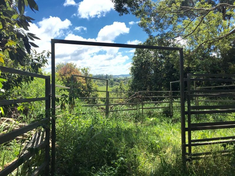 Millaa Millaa QLD 4886