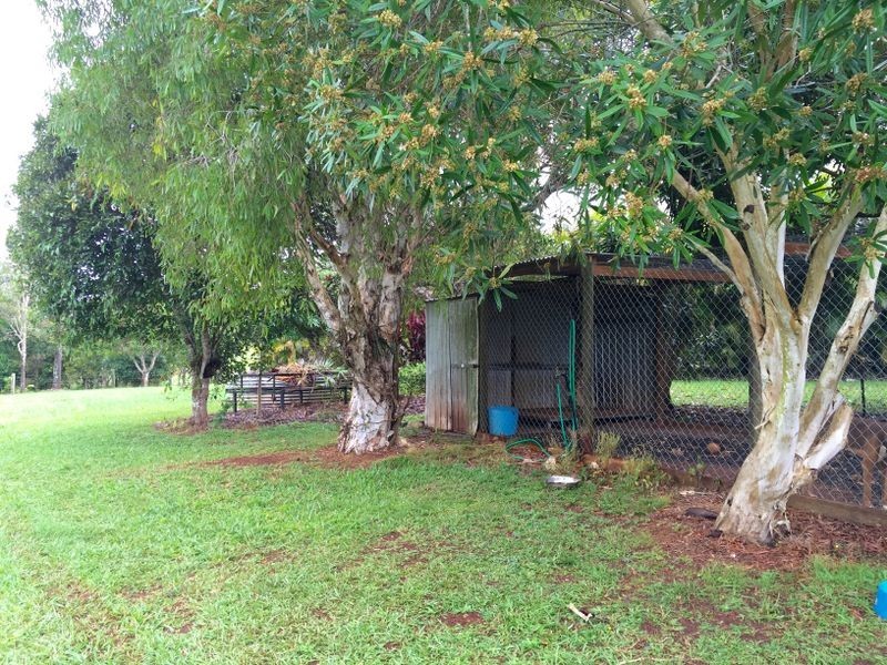 Lake Eacham QLD 4884