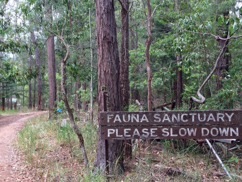 Wondecla QLD 4887