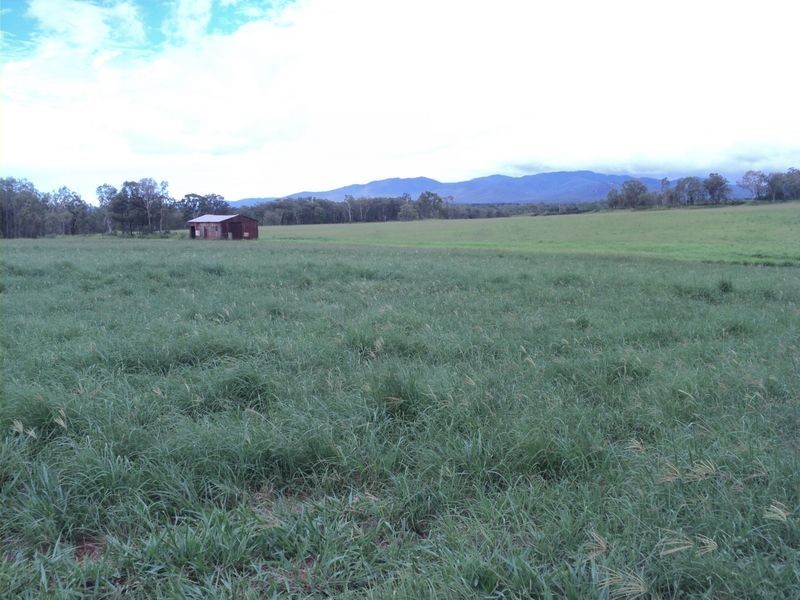 Tolga QLD 4882