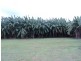 Tolga QLD 4882