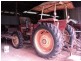 Tolga QLD 4882