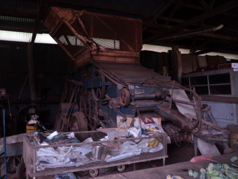 Tolga QLD 4882