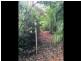 Lake Eacham QLD 4884