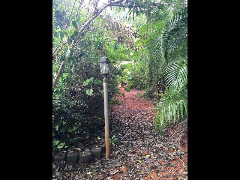 Lake Eacham QLD 4884