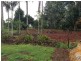 Lake Eacham QLD 4884