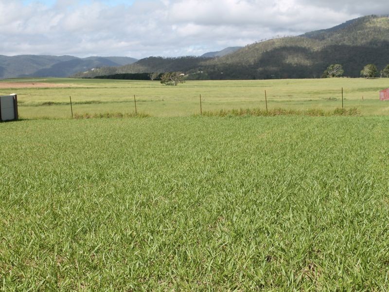 Atherton QLD 4883