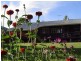 Yungaburra QLD 4884