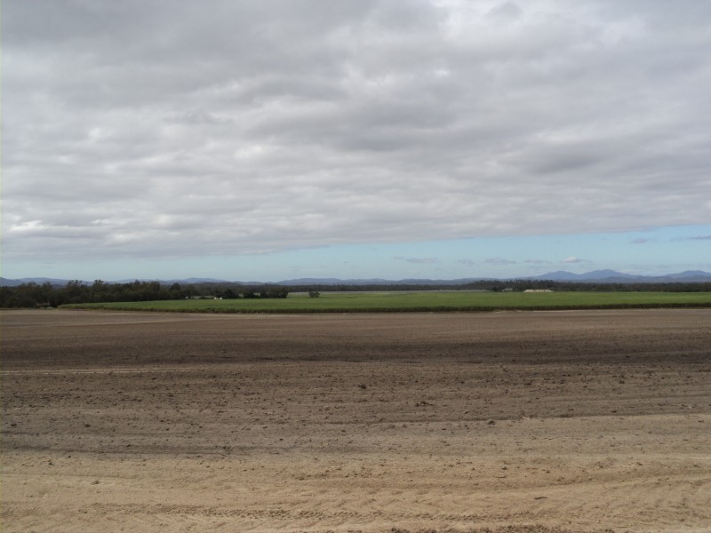Walkamin QLD 4872