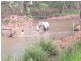 Herberton QLD 4887