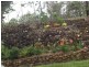 Herberton QLD 4887