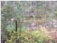 Herberton QLD 4887