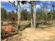 Walkamin QLD 4872