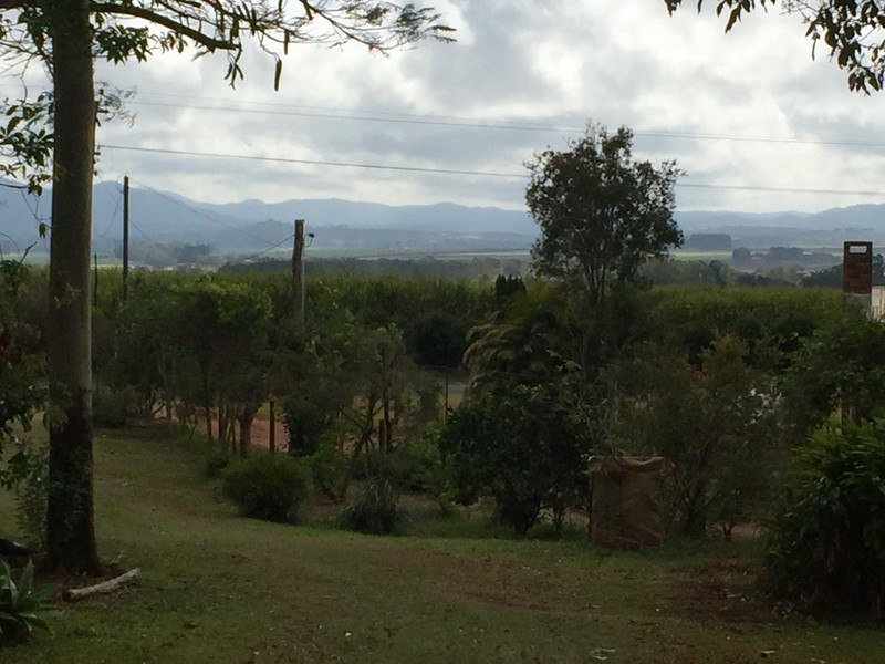 Tolga QLD 4882