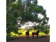Yungaburra QLD 4884