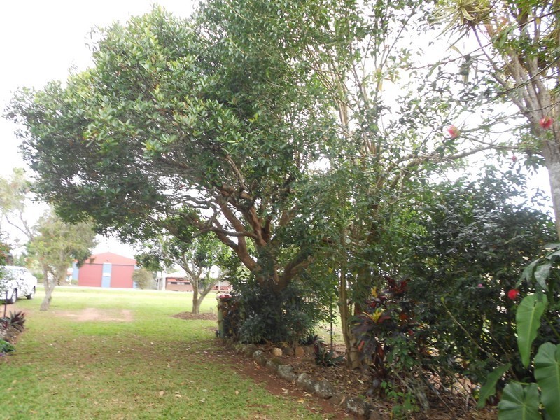 35 Eacham Rd, Yungaburra QLD 4884