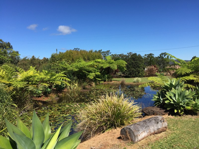 Wondecla QLD 4887