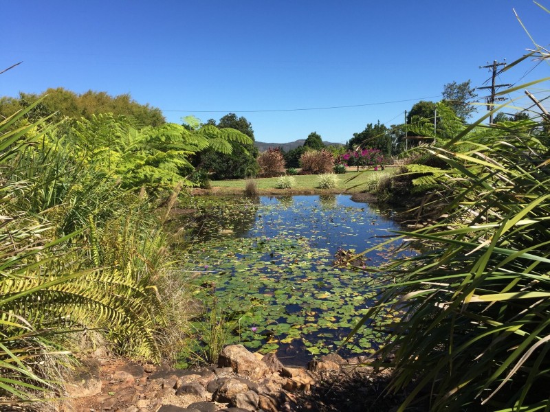 Wondecla QLD 4887