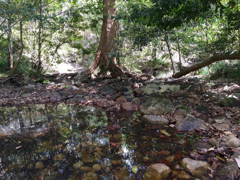 Upper Barron QLD 4883