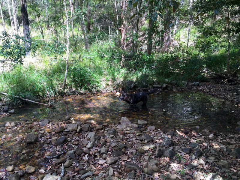 Upper Barron QLD 4883