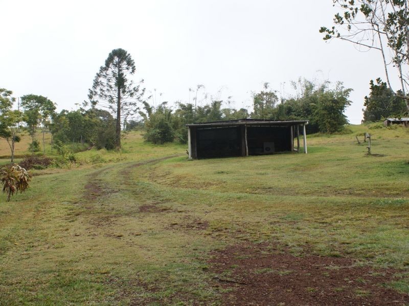 53 Hogan Hosie Road Tarzali, Malanda QLD 4885