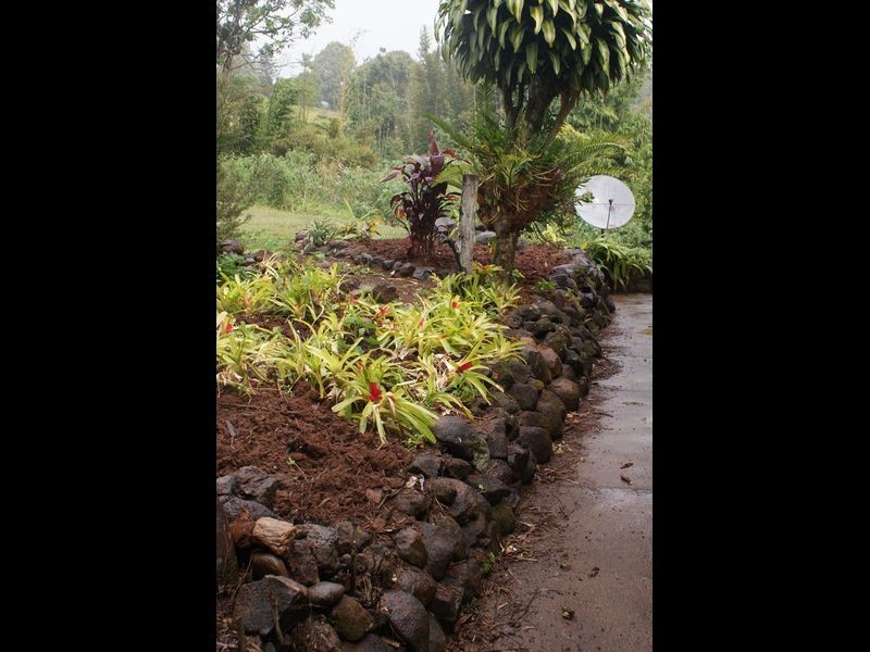 53 Hogan Hosie Road Tarzali, Malanda QLD 4885