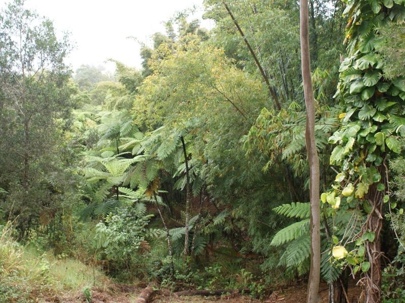 53 Hogan Hosie Road Tarzali, Malanda QLD 4885