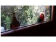 Malanda QLD 4885