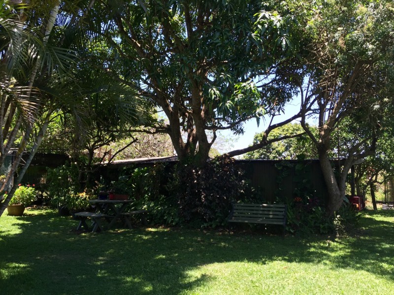 Tolga QLD 4882