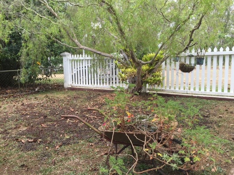 Yungaburra QLD 4884
