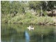 Ravenshoe QLD 4888