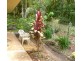 Malanda QLD 4885