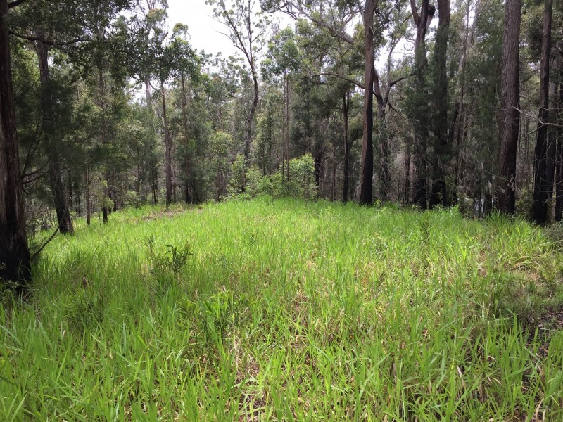 Wondecla QLD 4887