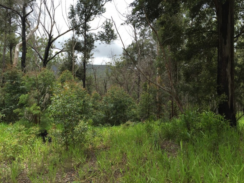 Wondecla QLD 4887