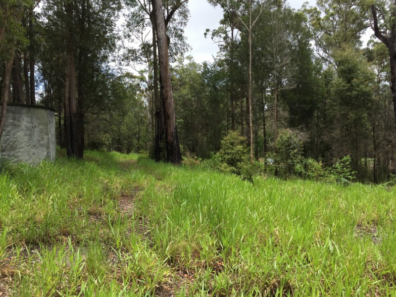 Wondecla QLD 4887