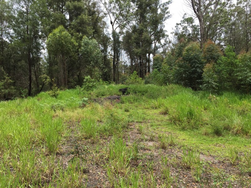 Wondecla QLD 4887