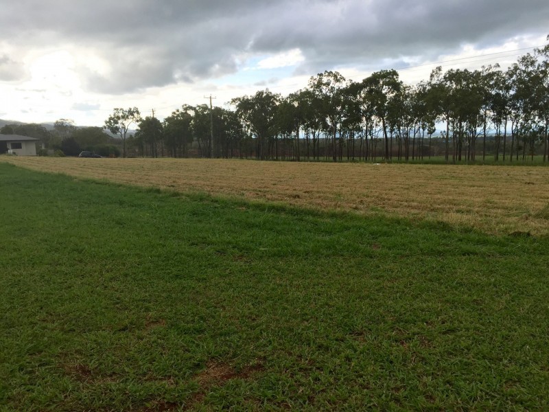 Tolga QLD 4882