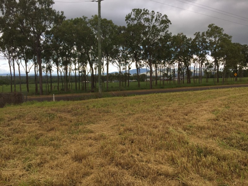 Tolga QLD 4882