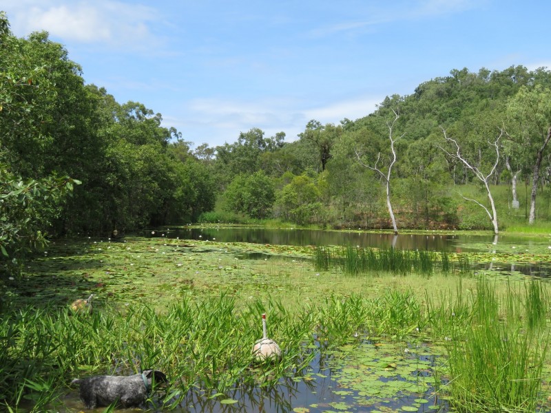 Cooktown QLD 4895