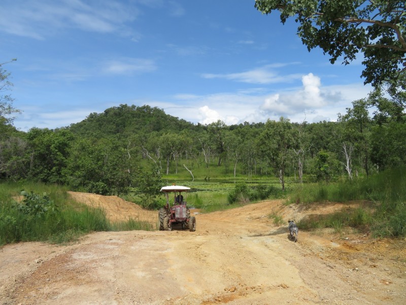 Cooktown QLD 4895