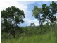 Cooktown QLD 4895