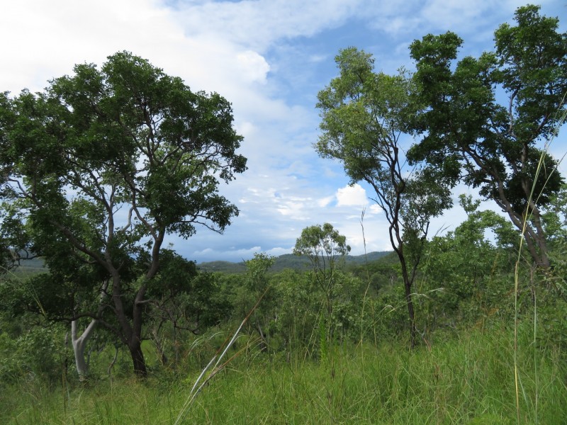 Cooktown QLD 4895