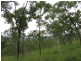 Cooktown QLD 4895