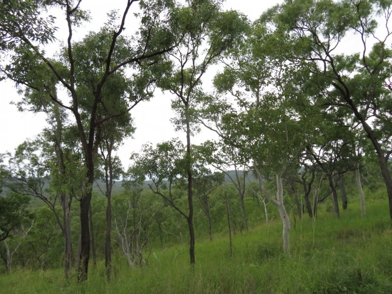 Cooktown QLD 4895
