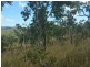 Cooktown QLD 4895