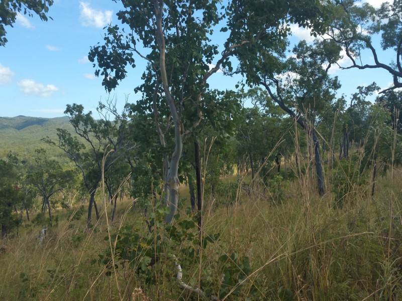 Cooktown QLD 4895