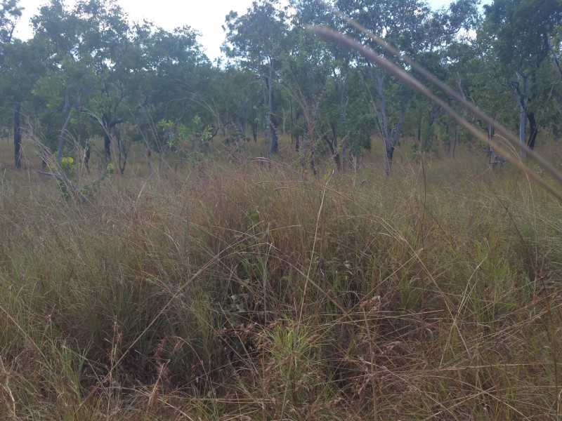 Cooktown QLD 4895
