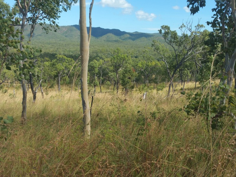 Cooktown QLD 4895