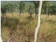 Cooktown QLD 4895