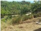 Cooktown QLD 4895